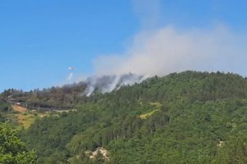 Avvio della fase di attenzione per gli incendi boschivi